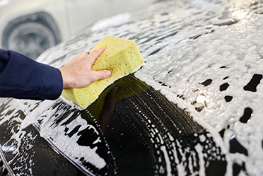 Bọt biển rửa xe